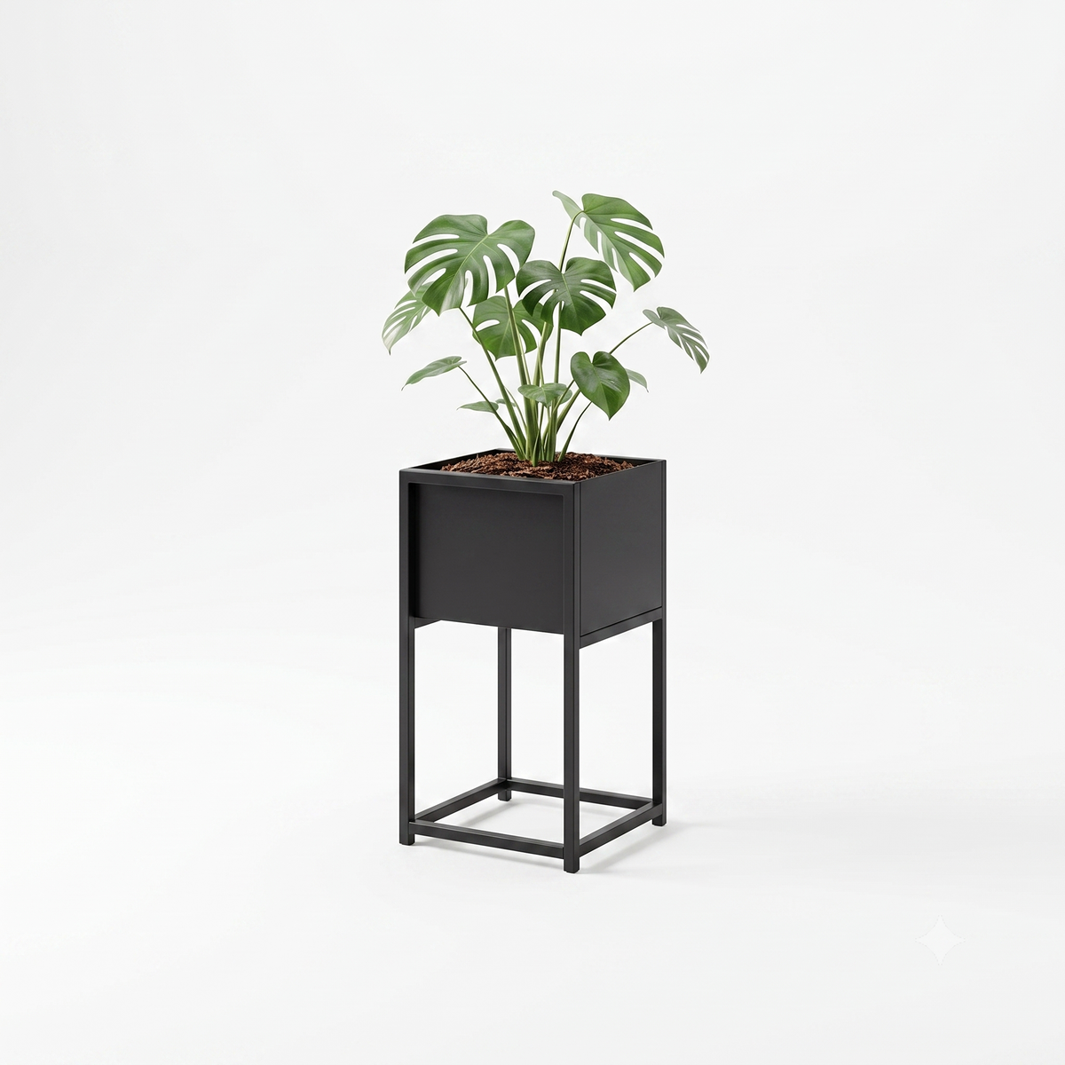 Scarab Emelyn Square Planter Box